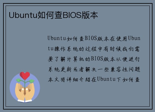 Ubuntu如何查BIOS版本